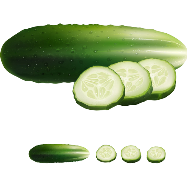 Cucumber