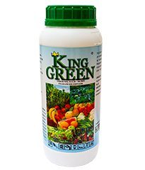 King-Green.jpg